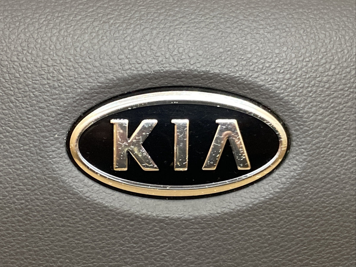 06 14 Kia Sedona Front Left Driver Side Steering Wheel Air Bag Airbag Gray KS4