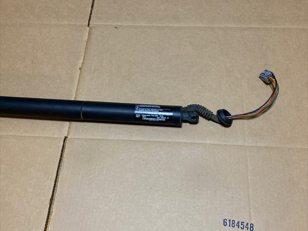2013 2019 Ford Escape Tailgate Liftgate Power Actuator Strut OEM CJ54 S402A55 AC2