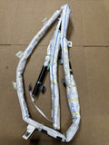 2015 2017 Kia Sedona Left Side Driver Upper Curtain Roof Air Bag Airbag0